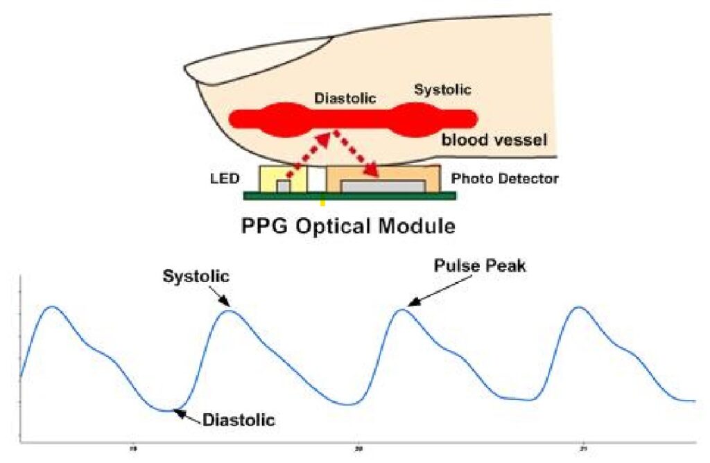Graphical representation of a typical PPG waveform showing changes in blood volume with systole and diastole phases of a cardiac cycle.
